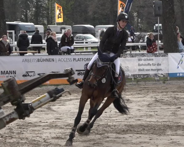 Reitturnier Werne-Lenklar 2019