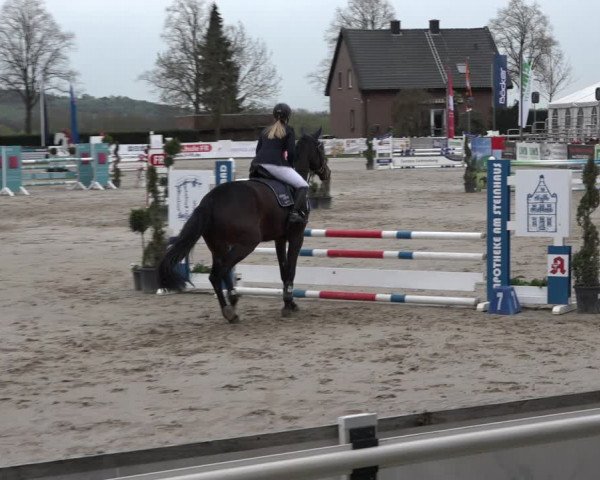 Reitturnier Werne-Lenklar 2019