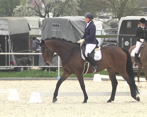 Reitturnier Achern 2019