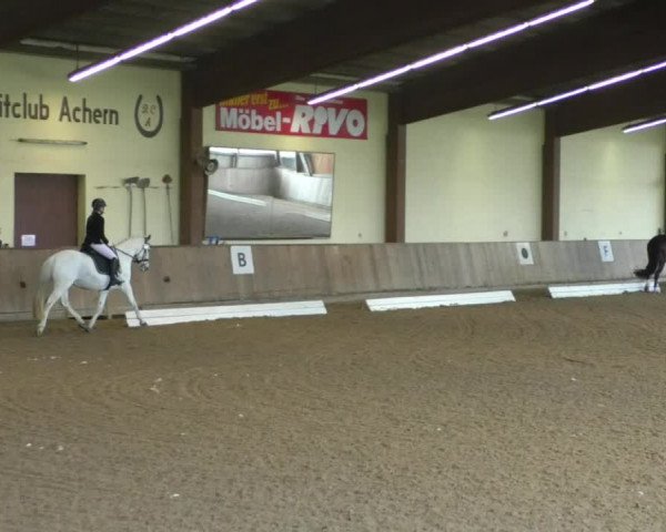 Reitturnier Achern 2019