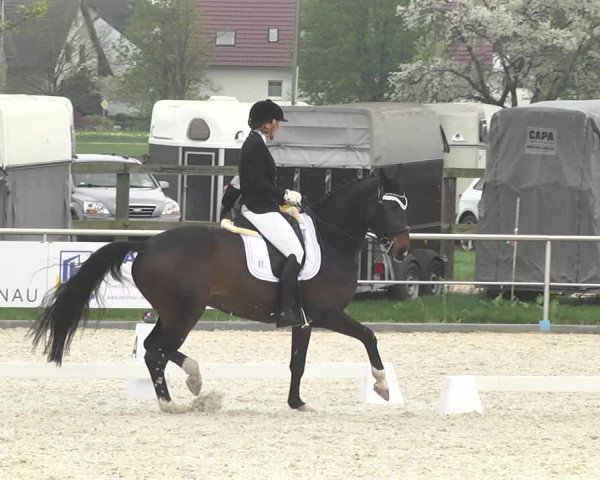 Reitturnier Achern 2019