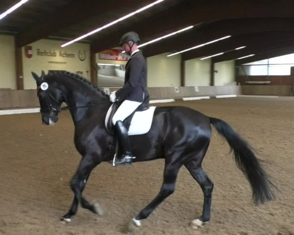Reitturnier Achern 2019