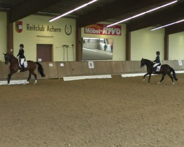 Reitturnier Achern 2019