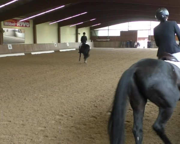 Reitturnier Achern 2019