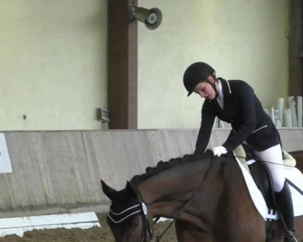 Reitturnier Achern 2019