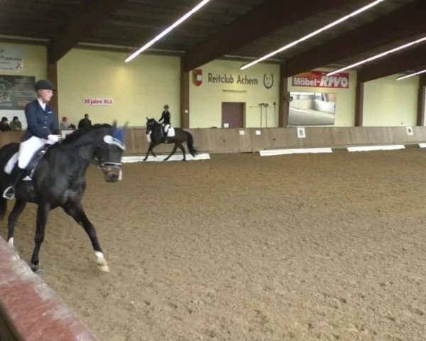 Reitturnier Achern 2019