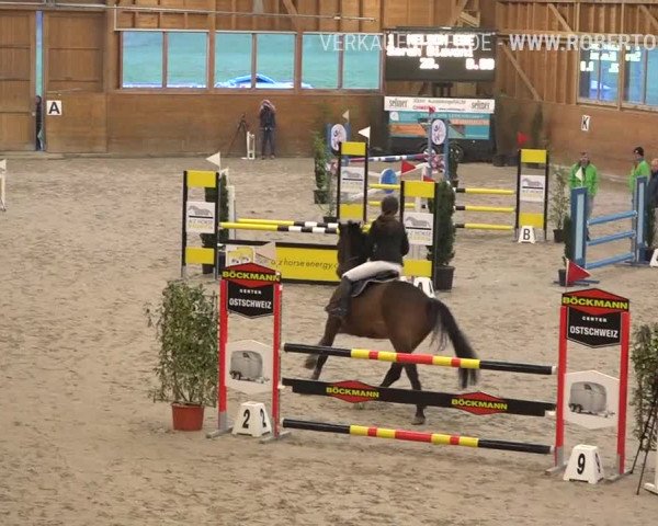 Reitturnier Rüti 2019