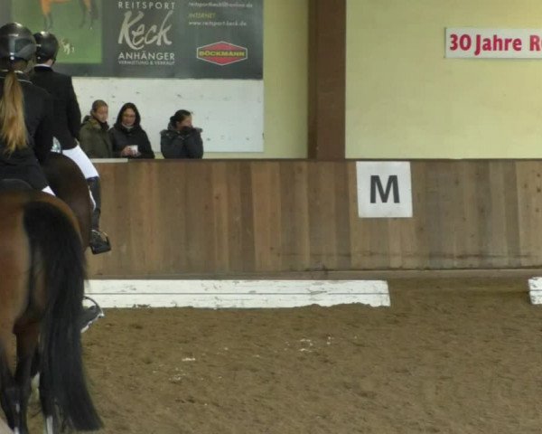 Reitturnier Achern 2019