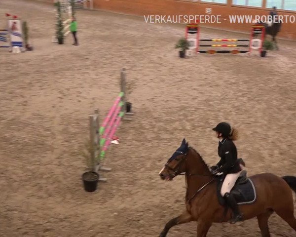 Reitturnier Rüti 2019