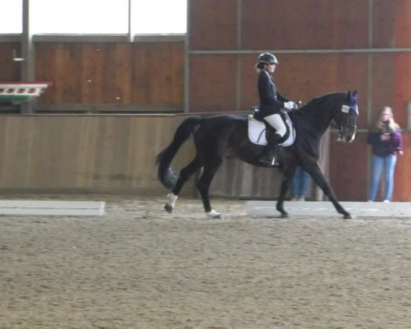 Reitturnier Achern 2019