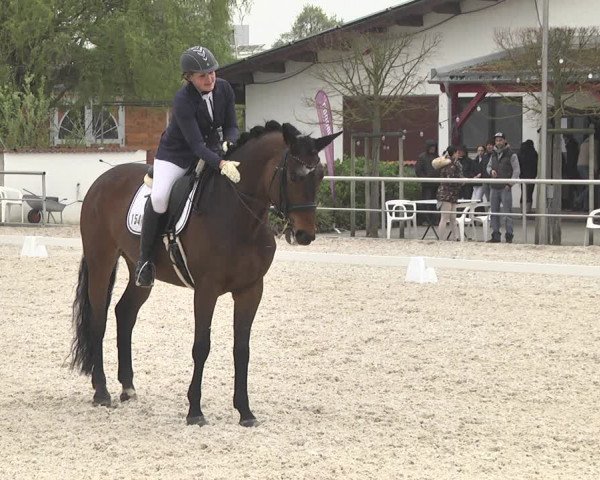 Reitturnier Achern 2019