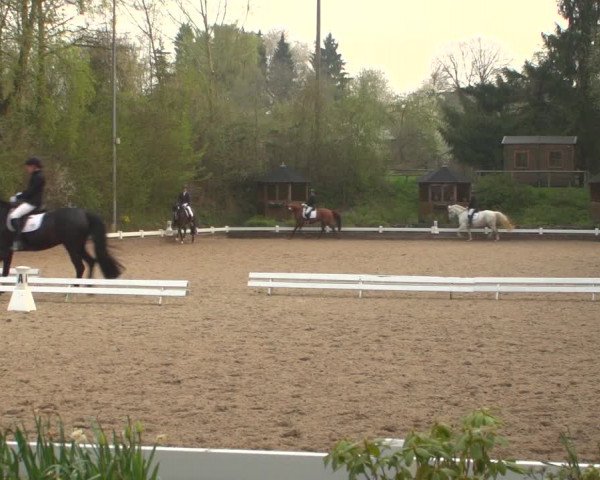 Reitturnier Mettmann - Reitanlage Löckenhoff 2019