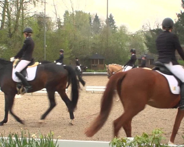 Reitturnier Mettmann - Reitanlage Löckenhoff 2019