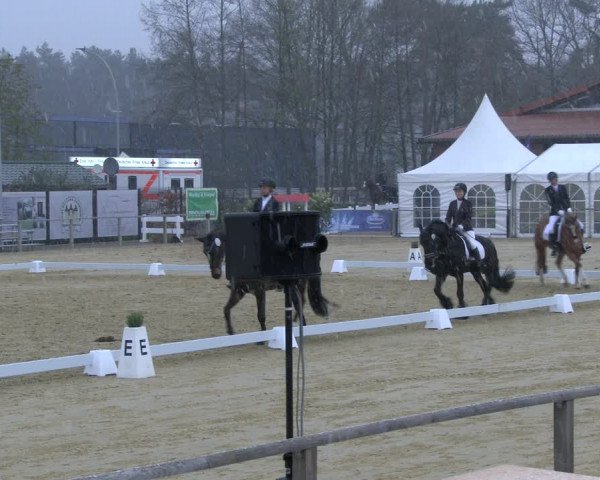Reitturnier Schloß Holte 2019