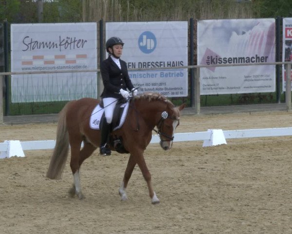 Reitturnier Schloß Holte 2019