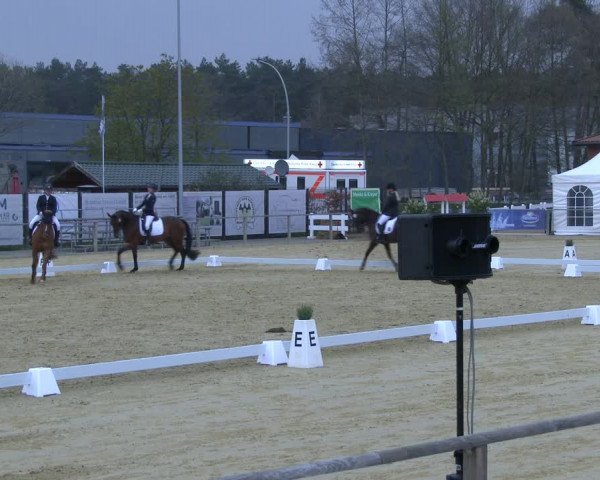 Reitturnier Schloß Holte 2019
