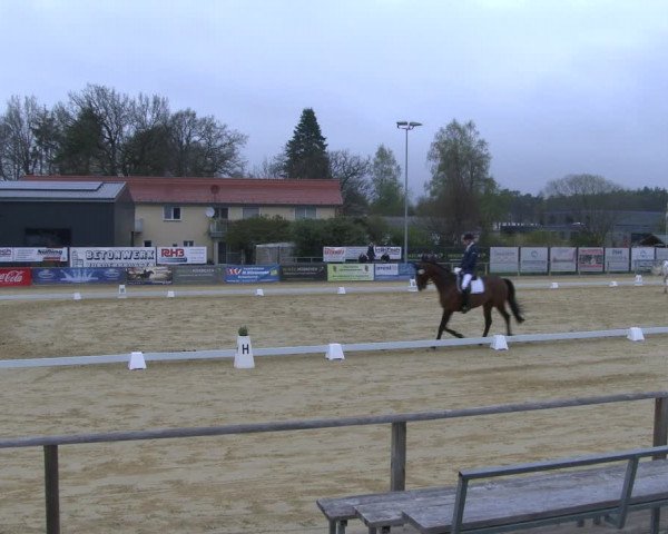 Reitturnier Schloß Holte 2019