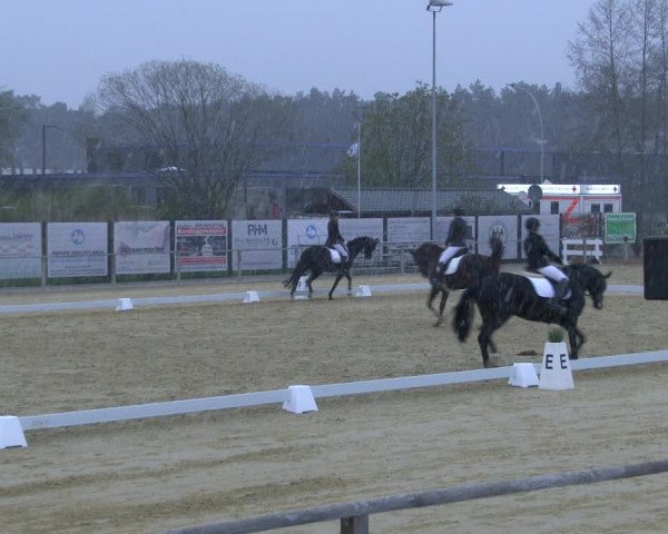 Reitturnier Schloß Holte 2019