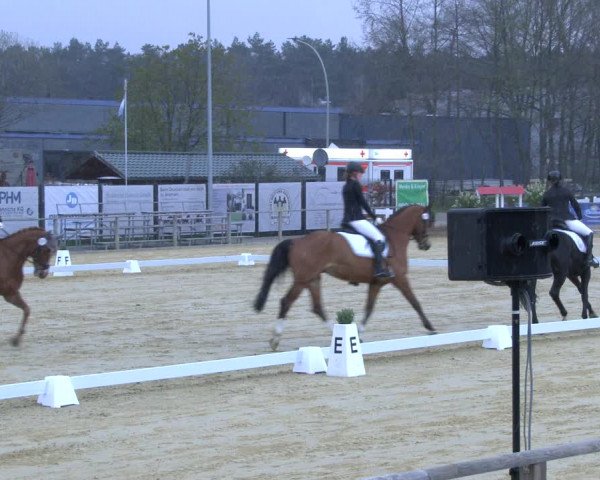 Reitturnier Schloß Holte 2019