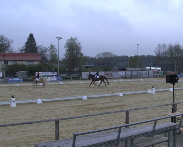 Reitturnier Schloß Holte 2019