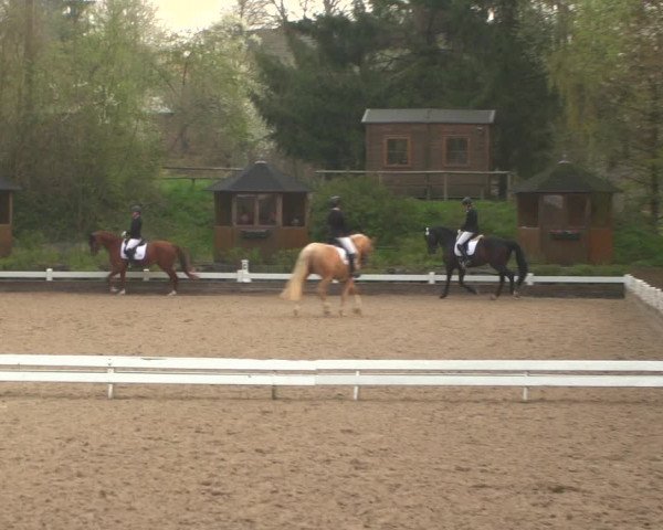 Reitturnier Mettmann - Reitanlage Löckenhoff 2019