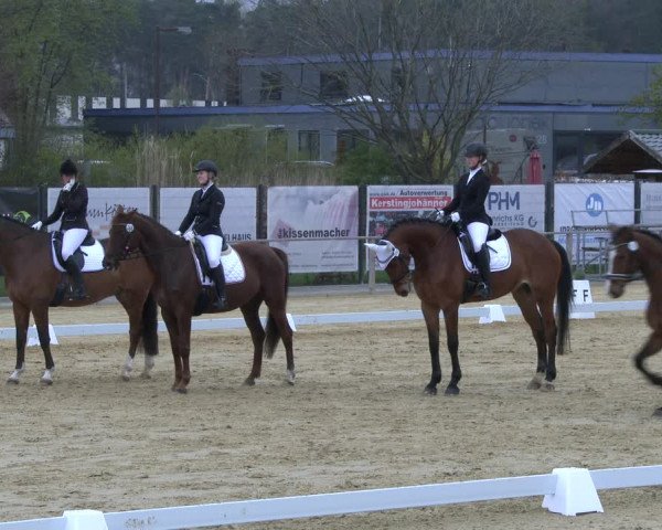 Reitturnier Schloß Holte 2019
