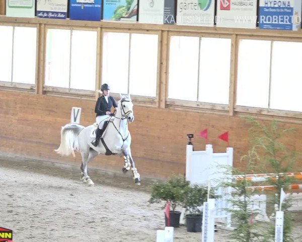 Reitturnier Rüti 2019
