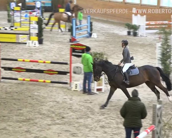 Reitturnier Rüti 2019