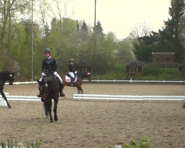 Reitturnier Mettmann - Reitanlage Löckenhoff 2019