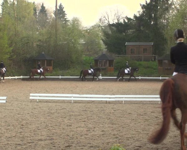 Reitturnier Mettmann - Reitanlage Löckenhoff 2019