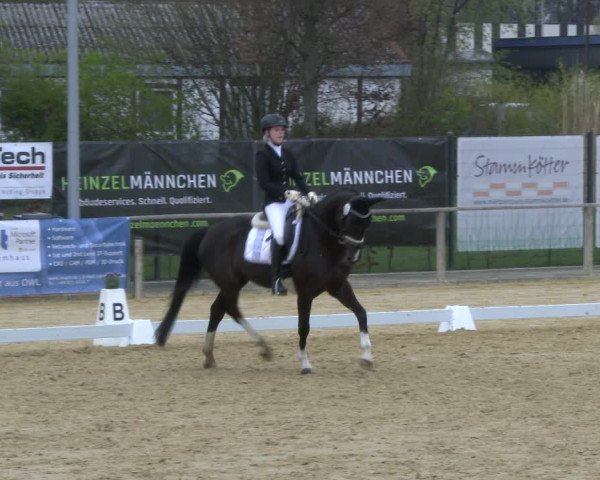 Reitturnier Schloß Holte 2019