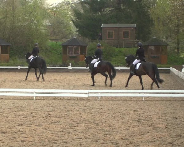 Reitturnier Mettmann - Reitanlage Löckenhoff 2019