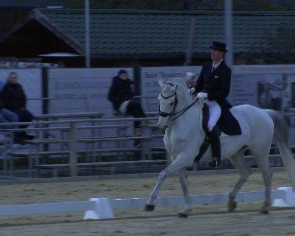 Reitturnier Schloß Holte 2019