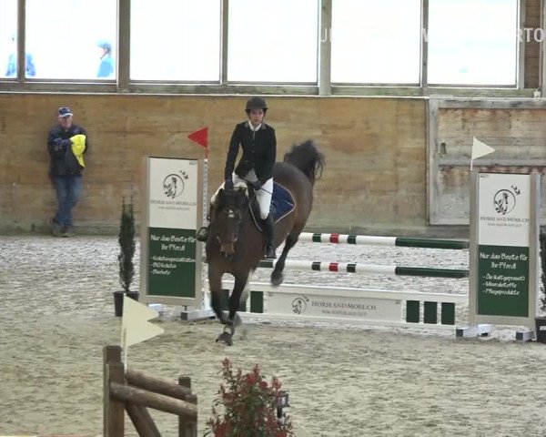 Reitturnier Rüti 2019