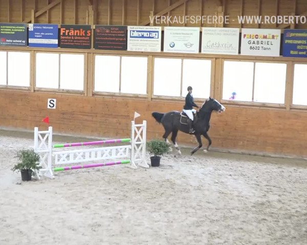 Reitturnier Rüti 2019