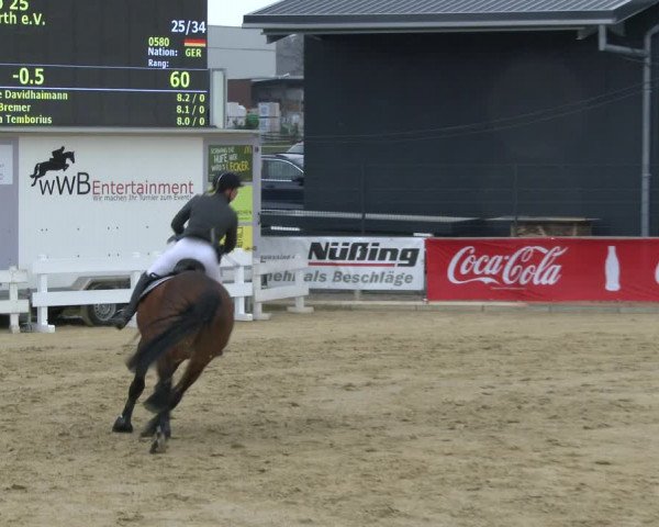 Reitturnier Schloß Holte 2019