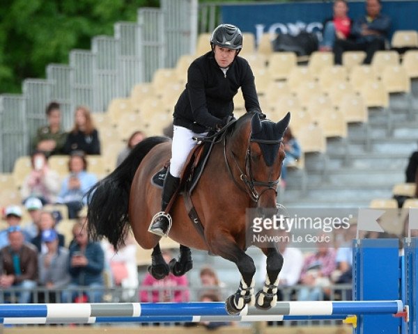 Springpferd Babeche (KWPN (Niederländisches Warmblut), 2004, von Babouche)