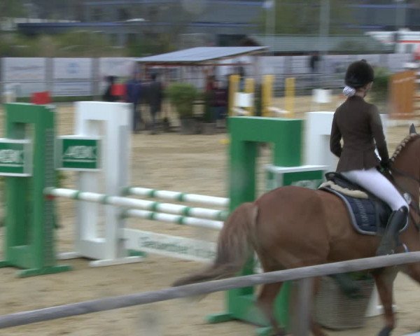 Reitturnier Schloß Holte 2019