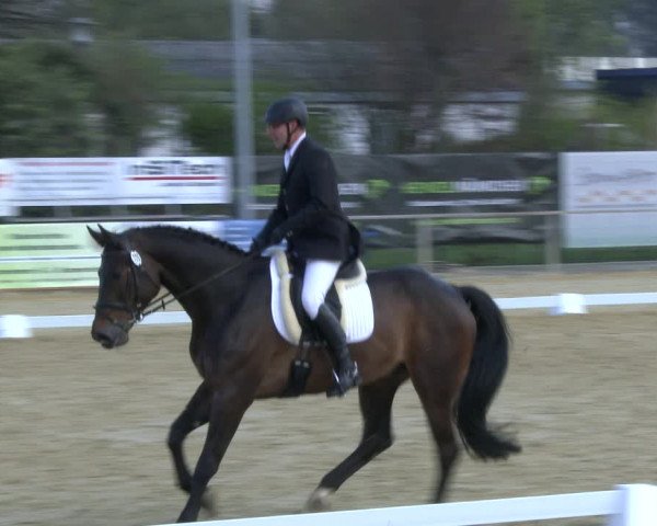 Reitturnier Schloß Holte 2019