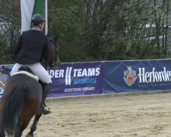 Reitturnier Schloß Holte 2019