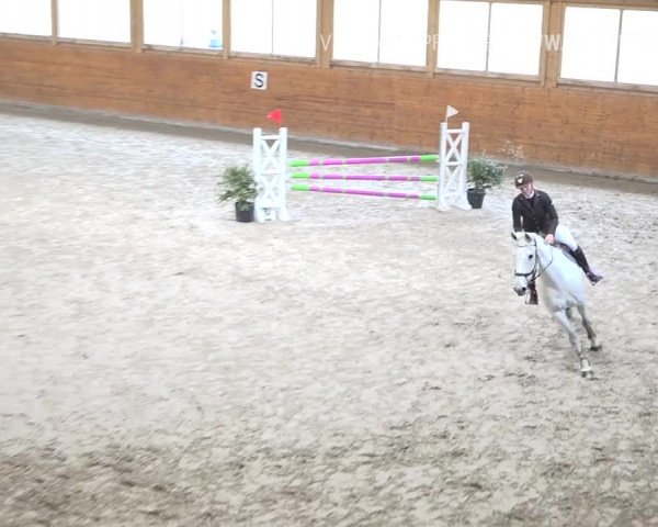 Reitturnier Rüti 2019