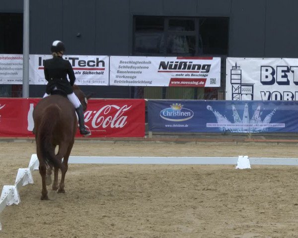 Reitturnier Schloß Holte 2019