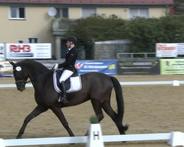Reitturnier Schloß Holte 2019