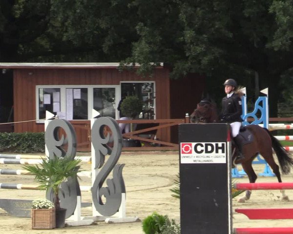 Equus Colonius - Reitanlage Brüse Köln 2021