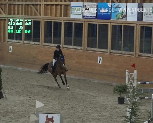 Reitturnier Rüti 2019