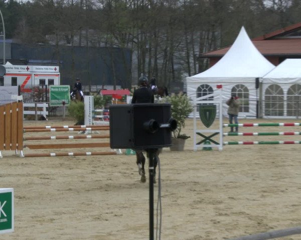 Reitturnier Schloß Holte 2019