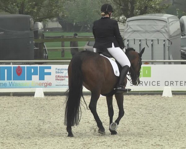Reitturnier Achern 2019