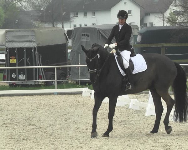 Reitturnier Achern 2019