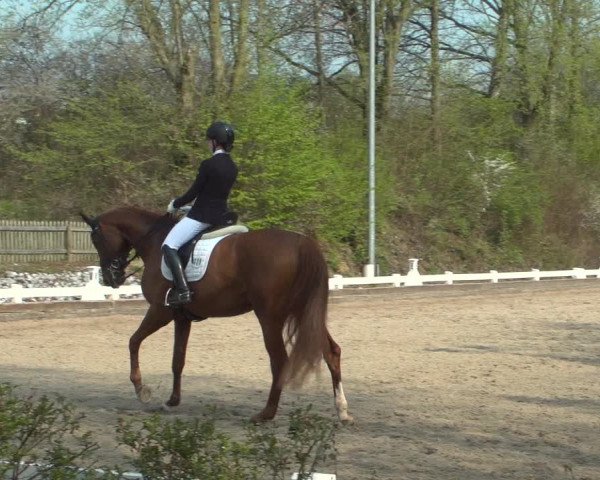 Reitturnier Mettmann - Reitanlage Löckenhoff 2019