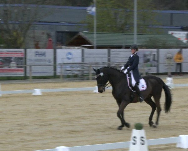 Reitturnier Schloß Holte 2019